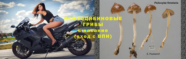 эйфоретик Балахна