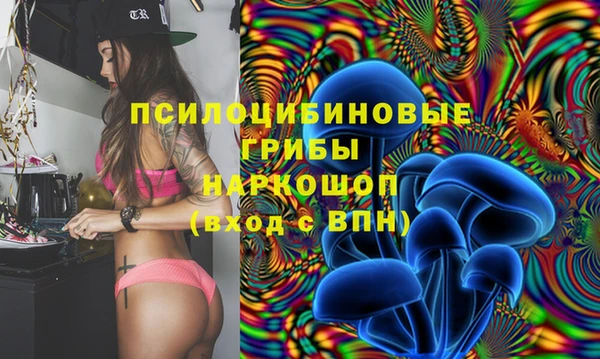 спайс Магадан