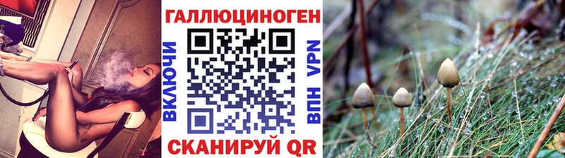 Галлюциногенные грибы Cubensis  mega зеркало  Шадринск  сайты даркнета клад  как найти  